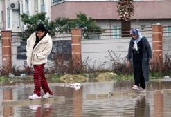 Rögarı olmayan sokak yağmur suyuyla doldu; sitede yaşayanlar yola taş döşeyip ulaşımı sağladı