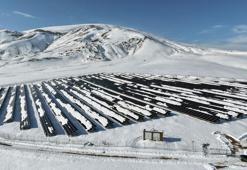 ‘Güneşin kenti’ Van, Türkiye'nin temiz enerji üssü olma yolunda