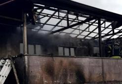 Evinde çıkan yangında hayatını kaybetti