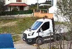 Kamyonetin üzerinden geçtiği köpek 'Meks' öldü; o anlar kamerada