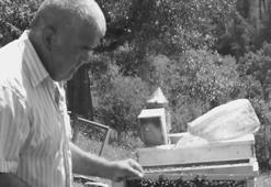 Kestiği ağacın altında kalıp öldü