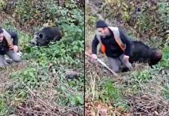 Vurulan domuz avcılara saldırdı; o anlar kamerada