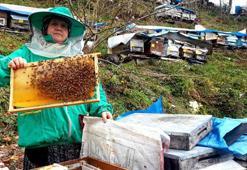 Genç yaşta babasını kaybedince ömrünü kardeşlerine adadı; arıcılık yapıp hepsini okuttu