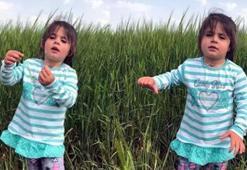 Ağrı'da 'Leyla Aydemir'in ölümüne ilişkin davada amca tutuklandı