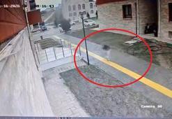 Karne almaya giderken sokak köpekleri peşine takılınca apartmana sığındı