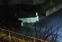 Aç kalan çakallar mahalleye indi