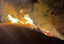 Yol kenarında çıkan yangın, ormana sıçradı