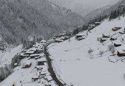 Ayder’de sömestir ve festival yoğunluğu