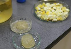 Ağaç kavunu kabuğundan ‘süper emici hidrojel’ geliştirdiler