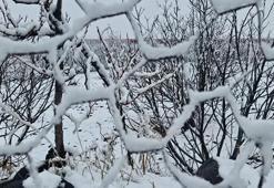 Diyarbakır’da yüksek kesimlerde kar, merkezde karla karışık yağmur etkili oldu