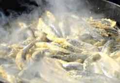 Bodrum’da Hamsi Festivali’nde 3 ton hamsi dağıtıldı, 100 metrelik kuyruk oluştu