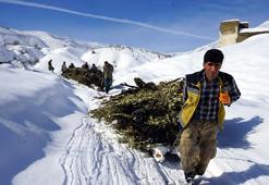 Hakkari’de besiciler karda kızakla hayvanlarına ot taşıyor