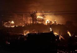 Şili'de meydana gelen orman yangınlarında 18 kişi hayatını kaybetti