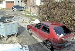 Üzerinden otomobil geçen köpek yürümeye başladı