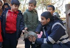Antalya Doğal Yaşam Parkı'nda 5 bin 432 öğrenciye çevre eğitimi