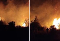 Antalya'da orman yangını