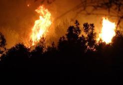 Antalya'da orman yangını