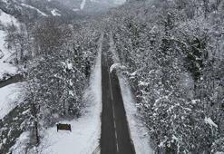 'Ağaç tünel yol'da, kar yağışı sonrası ortaya çıkan manzara görüntülendi