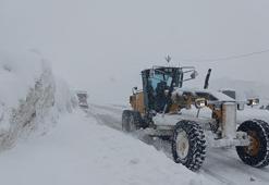 Bitlis'te 211 köy ve mezra yolu kapandı; kar kalınlığı 152 santimetreye ulaştı
