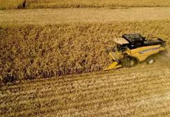TÜİK: Tarımsal girdi fiyatları kasımda arttı