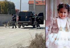 Rana'nın köpek saldırısında ölümüne ilişkin 2 belediye yetkilisi hakkında soruşturma izni