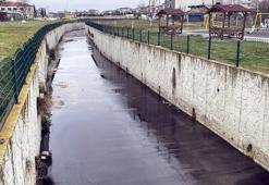 Tekirdağ’da Karaağaç Deresi siyah renkte akmaya başladı