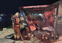 Hatay'da konteyner yangını