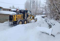 Van'da 287 yerleşim yeri yolundan 89'u ulaşıma açıldı