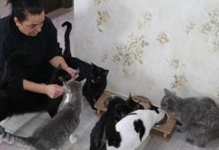 Korkusunu yendi, evini sokak kedilerine yuvaya dönüştürdü
