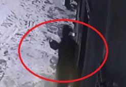 Mahalleye inen kurtları, elinde çaydanlıkla koşarak uzaklaştırdı