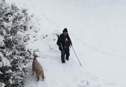 Nallıhan’da çoban, gördüğü drona tüfek doğrulttu; o anlar kamerada