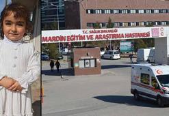 Sokak köpeklerinin saldırısına uğrayan Nazlı, ağır yaralandı