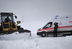 Minik Adar için ekipler seferber oldu