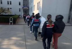 17 il merkezli 'siber dolandırıcılık' operasyonları: 68 tutuklama