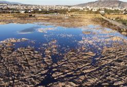 Yağışlarla birlikte suyla dolan Milleyha Kuş Cenneti dron ile görüntülendi
