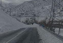 Hakkari’de Van ve Çukurca kara yollarında 3 ayrı noktaya çığ düştü