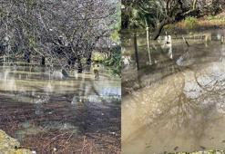 Çeşme'de sağanak etkili oldu; pazar yeri ve mezarlık su altında kaldı