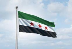 Suriye Savunma Bakanlığı ateşkesi 15 gün uzattı