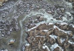 Sultan Sazlığı Milli Parkı'ndaki sulak alanlar buz tuttu