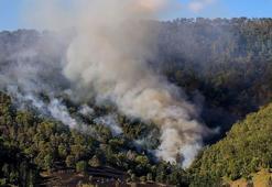 Avustralya'da orman yangınları devam ediyor