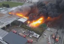 Büyükçekmece'de meyve deposunda yangın