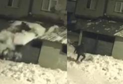 Kar kürerken çatıdan düştü; o anlar kamerada