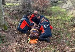 Kaybolan demans hastası 5 saat sonra bulundu