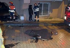 İstanbul'da fırtına etkili oldu; bazı binaların çatıları uçtu