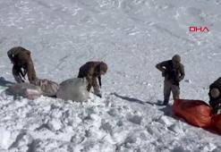 Hakkari’de düzenlenen operasyonda 348 kilo uyuşturucu ele geçirildi.