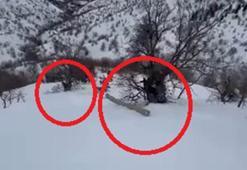 Eğimli arazide işçiler, karda kayan direkle birlikte sürüklendi; o anlar kamerada