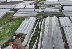 Seydikemer’de hortum, fırtına ve dolu seraları vurdu: 100 dönüm zarar