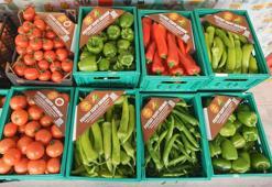 ŞOK Marketler pestisit analiz kapsamını genişletti