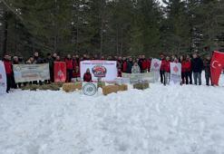 Vakıflar Genel Müdürlüğü tarafından yaban hayvanları için doğaya yem bırakıldı