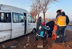 Minibüs ağaca çarptı: 7 yaralı